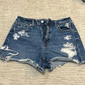 AE Denim Shorts